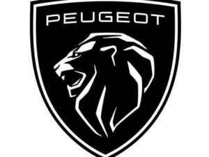 Peugeot Lastgaller